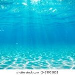 40l44fspa