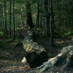 爱壹帆美国:探索美国文化与生活的独特视角 6s6alh0