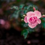 爱奇艺免费版:畅享海量影视资源,轻松观看热门剧集与电影 74jg72gd9