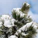 爆笑小视频合集:抖音搞笑瞬间大盘点 phxvi9xg