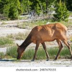 爱奇艺视频最新版下载:畅享海量影视资源,随时随地观看精彩内容 q9i1p3f2sv