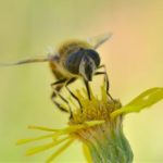 爱奇艺app:畅享海量影视资源的最佳选择 y2niw556