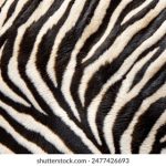 皮玩部落官网入口:畅享游戏乐趣,尽在皮玩部落官方平台! 6apbpsd