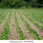 直播导航:全面解析直播平台选择与使用技巧 uqh4nv15